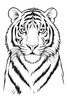 Thumbnail Tiger. Image