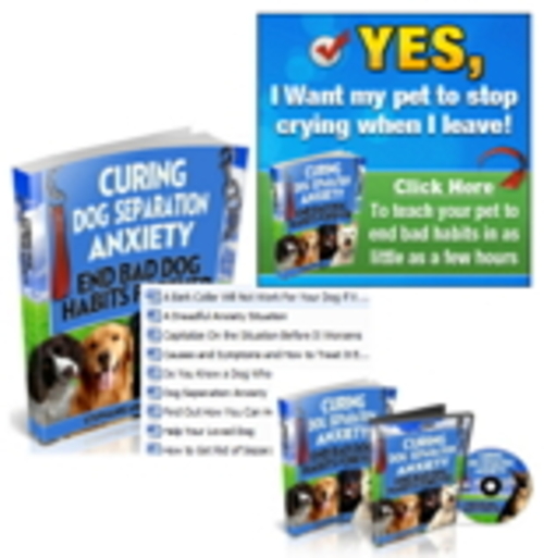 Product picture Turnkey Curing Dog Separation Blog Website