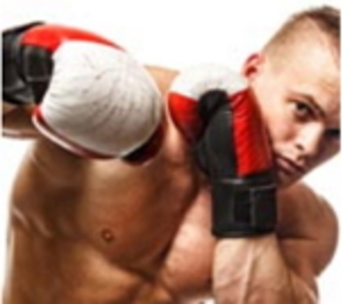 Product picture Kickboxing Guide MRR/Giveaway Rights