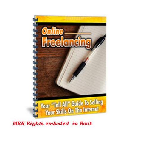 Product picture Online Freelancing_Report