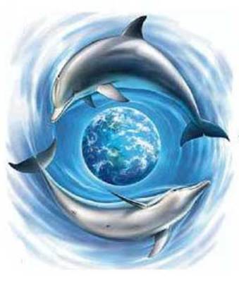 Product picture Blue dolphin